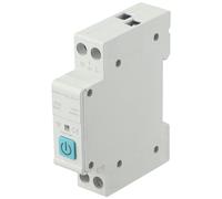 Semplifica la Gestione Domestica con Interruttore Smart Wifi 1063A 1P Din Rail