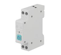 Semplifica la Gestione Domestica con Interruttore Smart Wifi 1063A 1P Din Rail