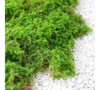 Semplifica le tue esigenze di giardinaggio Sperimenta la bellezza dell'erba sintetica realistica in ogni angolo (verde pallido 40 × 60)