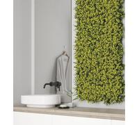 SEMPREVERDE BUXUS 100 x 100 CM effetto visivo 3D , naturale, TIPO BOSCO.