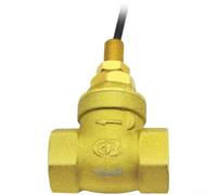 SEN-DB15 Interruttore di flusso d'acqua a paletta, corpo interamente in rame con controllo interruttore Reed, impermeabile IP66, portata regolabile 5-15 l/min, filettatura G1/2" per tubazioni