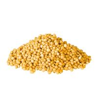 Senape Gialla Grani 45g in Vasetto: Semi di Mostarda Qualità Premium per Salse, Marinature e Carni | Aroma Intenso, Naturale, Ideale per Cucina Gourmet.