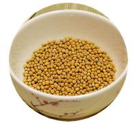 SENAPE GIALLA SEMI - PREZZO CONVENIENZA - busta da 1/2 KG sped gratis