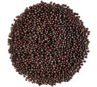 Senape Nera Semi Biologico - Bio Semis Di Senapes Marrone 700g