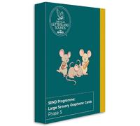 SEND Programme: Large Sensory Grapheme Cards