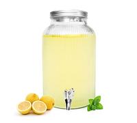Sendez Distributore di bevande da 5 litri con rubinetto in acciaio inox, erogatore di succhi