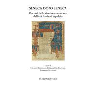 Seneca dopo Seneca. Percorsi della ricezione senecana dall'età flavia ad Apuleio