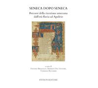 Seneca dopo Seneca. Percorsi della ricezione senecana dall'età flavia ad Apuleio