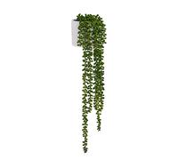 Senecio Climb - Piante artificiali Verde