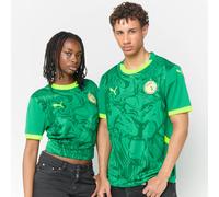 Senegal 2026 Home Jersey verde S