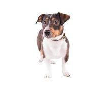 Staffa Frontale per Allenamento visivo Tipo H, Accessori per Optometria di Supporto Frontale, Mentoniera Ottica, per Negozi di Ottica, Centro di Cura della Vista