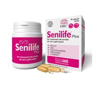 Senilife® Plus per il Benessere del Cervello dei Cani e Gatti anziani migliora