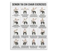 Senior Seated Tai Chi Flow Rustic Metal Plaque 12x8 Inch
