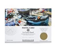 SENNELIER La Carte - Pochette, 40 x 28 cm, colore: Grigio chiaro monocromatico