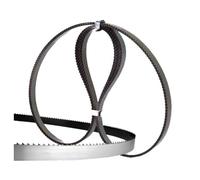 SENO & SENO - Lame per Segaossa Elettrica - Acciaio al Carbonio Temprato, Dentatura di Precisione, Set da 10 Pezzi - Taglio Netto e Pulito, Ideale per Macellerie e Ristorazione (1760x16 mm)
