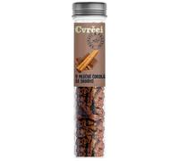 Sens - Grilli croccanti arrostiti in provetta, al cioccolato al latte con cannella, 30 g
