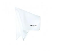 SPONGE CHIEF - Formato: Spugna