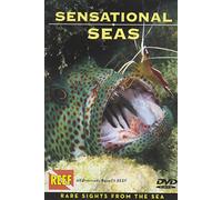 Sensational Seas DVD: Rare Sights from the Sea