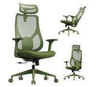 SENSE7 Sedia da Ufficio Operativa Studio Ergonomica Girevole Scrivania | Verde , Rete traspirante, supporto lombare, altezza regolabile, cameretta, uso quotidiano, arredo interno , per PC , Moyo