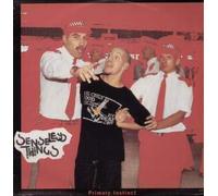 Senseless Things - PRIMARY INSTINCT 12" SINGLE UK EPIC 1993