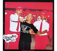Senseless Things - Primary instinct (1993) / Vinyl Maxi Single [Vinyl 12'']
