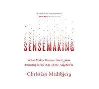 Sensemaking: What Makes Human Intelligence Essential in the Age of the Algorithm