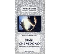 Sensi che vedono. Introduzione all'arte della video-installazione - Cargio...