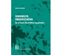 Sensibilità organizzativa. Dai processi alla struttura organizzativa - Can...