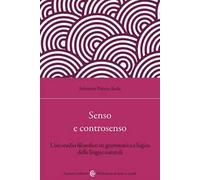 Senso e controsenso. Uno studio filosofico su grammatica e logica delle li...
