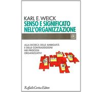 Senso e significato nell'organizzazione. Alla ricerca delle ambiguità e de...