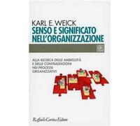 Senso e significato nell'organizzazione. Alla ricerca delle ambiguità e delle contraddizioni nei processi organizzativi