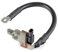 Sensore Batteriemanagement Hella per Audi A6 C7 Avant (4G5/4GD)