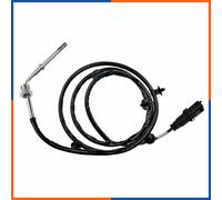 NTY Sensore, Temperatura gas scarico