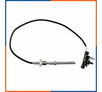 NTY EGT-VV-004 Sensore, Temperatura gas scarico