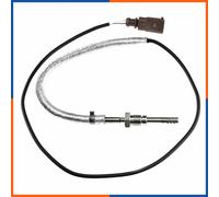 NTY EGT-WW-010 Sensore, Temperatura gas scarico