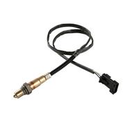 Sensore di carburante 018B-176000 Sensore Di Ossigeno A 4 Fili Per CFMOTO CF MOTO CF500/600/625 Per X5 Per X6 Z6EX U6 EFI 018B176000 Ossigeni