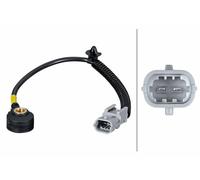 Sensore di detonazione 6PG 013 114-721 HELLA