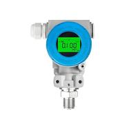 Sensore di pressione DC24V RS485 4-20mA Trasmettitore di pressione LCD digitale Sensore 0-10Mpa 0-20Mpa 0-60Mpa IP65(Rs-485 Lcd Display,0-0.25Mpa)