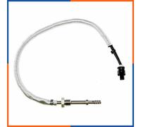 NTY EGT-CH-001 Sensore, Temperatura gas scarico