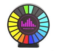 Sensore elettronico di vibrazione e rumore per indagini paranormali, luce RGB controllata dal suono 2K HD con AGC, ricaricabile tramite USB-C (B)