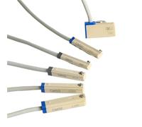 Sensore interruttore reed magnetico cilindro aria 2 pezzi DMSH DMSE-020 DMSG-020 DMSJ-020 N020 P020 CMSE-020 CMSG-020 CMSJ-020 CMSH-020(DMSH-P020)