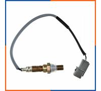 NTY ESL-MS-013 Sonda lambda
