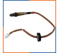 NTY ESL-MS-008 Sonda lambda