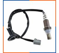 NTY ESL-TY-019 Sonda lambda