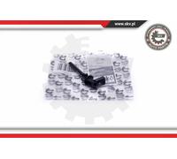 Sensore livello liquido refrigerante nero 17SKV636 ESEN SKV per BMW 7 8 5