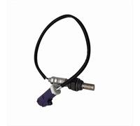 Sensore ossigeno Compatibile Con Ford Per Fiesta L4-1.6L 2013 2014 2015 Sensore Ossigeno Ricambio A 4 Fili Riscaldato Accessori A Valle OEM: AE8Z9G444B