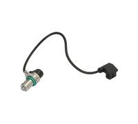 Sensore, posizione albero a camme DELPHI SS11198