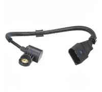 Delphi Sensore posizione albero a camme SS11217 per VW, Audi, Seat, Skoda