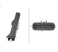 Sensore, posizione del pedale dell'acceleratore HELLA 6PV 008 890-711 Q3 2 2011-