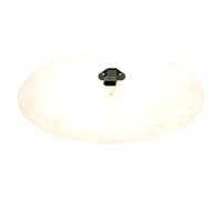 Sensore, Pressione alimentazione posteriore per AUDI PORSCHE SEAT SKODA VW A1 A3